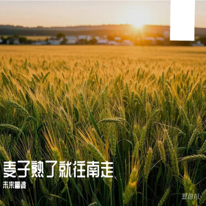 海北苟茄电子商务有限公司,m3u8
