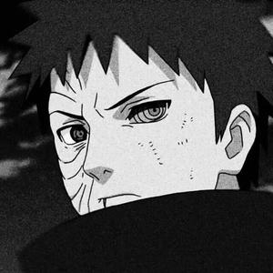 海北苟茄电子商务有限公司,m3u8
